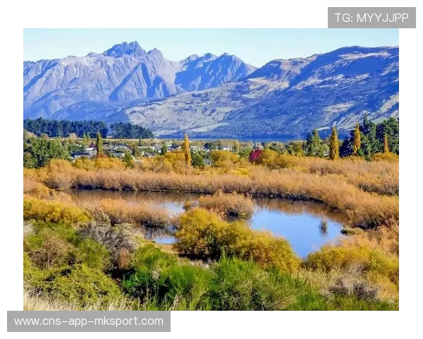 新西兰的节奏感太强，打得干净利落，“新西兰”